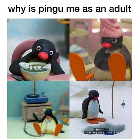 pingu memes|funny pingu memes.